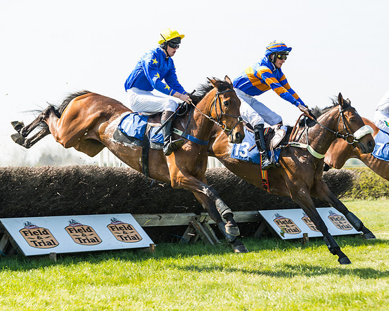 Race 2  - Open Maiden  (72 of 117)