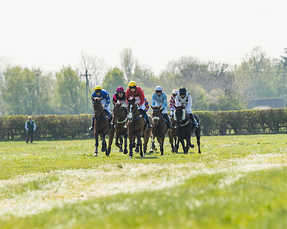 Race 2  - Open Maiden  (76 of 117)
