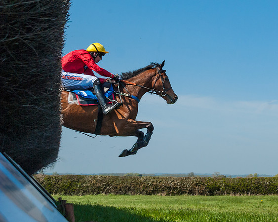 Race 2  - Open Maiden  (79 of 117)