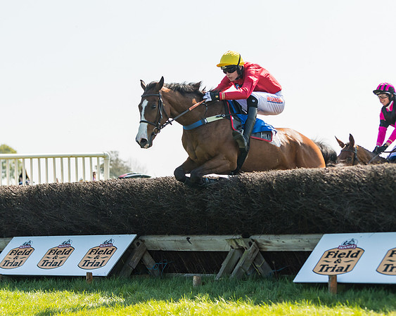 Race 2  - Open Maiden  (81 of 117)