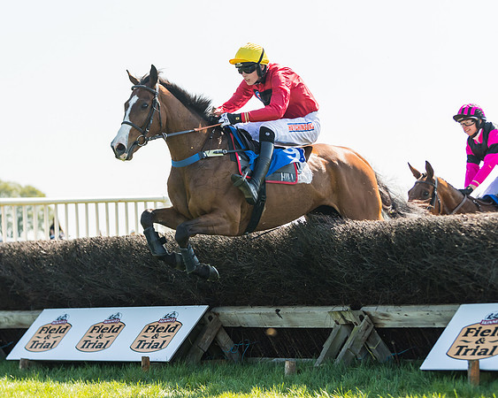 Race 2  - Open Maiden  (82 of 117)