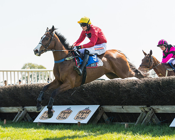 Race 2  - Open Maiden  (83 of 117)