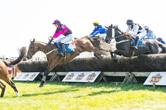 Race 2  - Open Maiden  (85 of 117)
