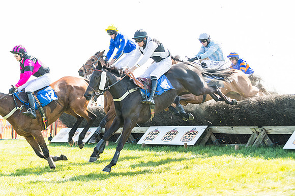 Race 2  - Open Maiden  (86 of 117)