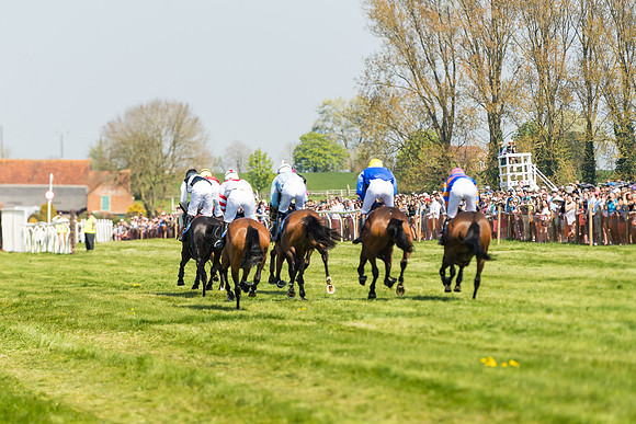 Race 2  - Open Maiden  (87 of 117)