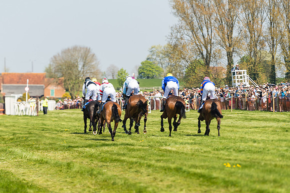 Race 2  - Open Maiden  (88 of 117)