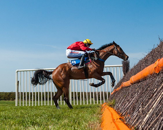Race 2  - Open Maiden  (90 of 117)