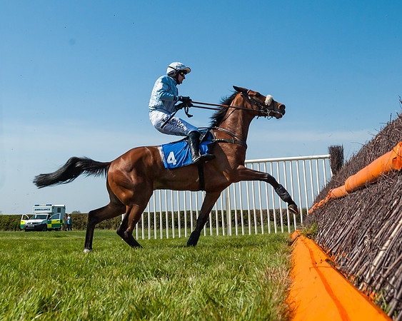 Race 2  - Open Maiden  (91 of 117)