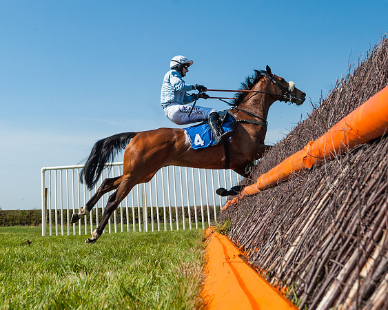 Race 2  - Open Maiden  (92 of 117)