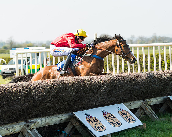 Race 2  - Open Maiden  (93 of 117)