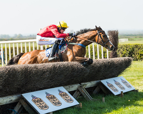 Race 2  - Open Maiden  (94 of 117)