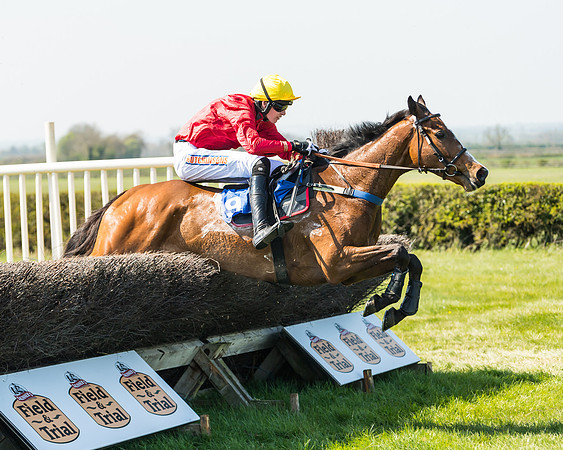 Race 2  - Open Maiden  (95 of 117)