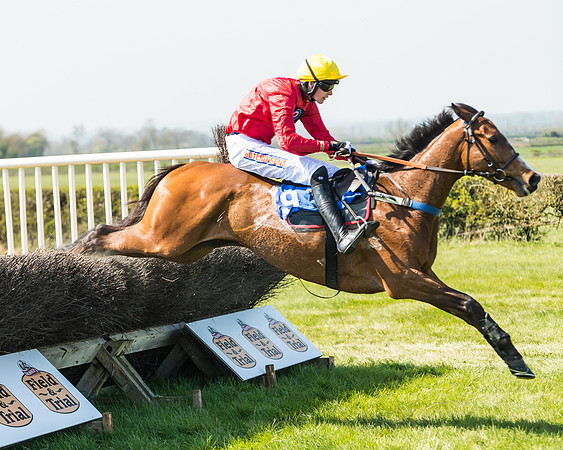Race 2  - Open Maiden  (96 of 117)