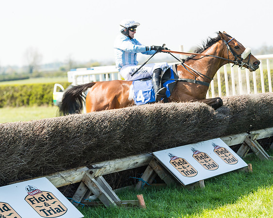 Race 2  - Open Maiden  (97 of 117)