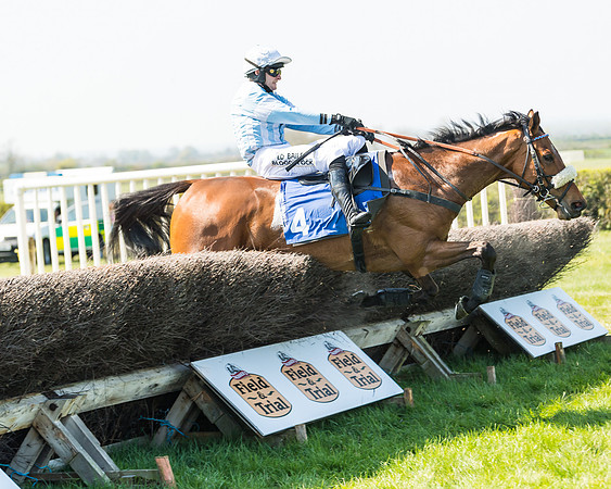Race 2  - Open Maiden  (98 of 117)