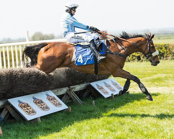 Race 2  - Open Maiden  (99 of 117)