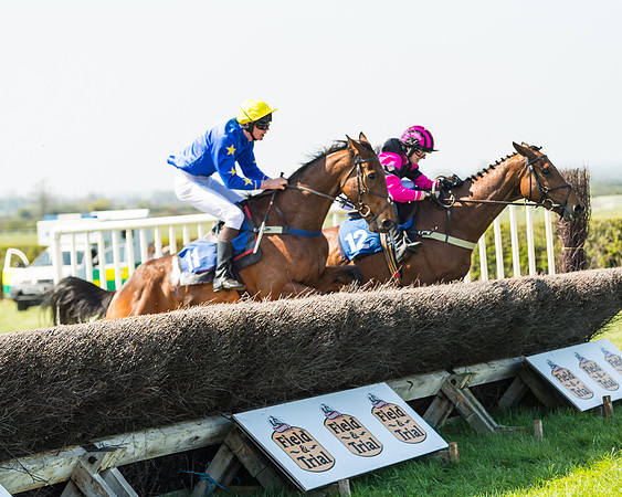 Race 2  - Open Maiden  (100 of 117)