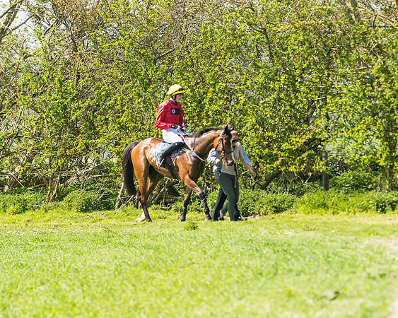 Race 2  - Open Maiden  (106 of 117)