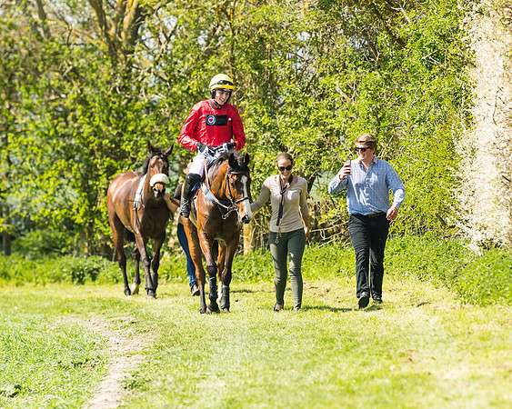 Race 2  - Open Maiden  (107 of 117)