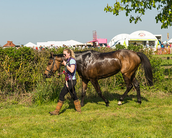 Race 4 - Ladies Open winners enclosure (7 of 8)