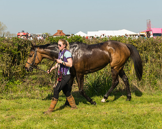 Race 4 - Ladies Open winners enclosure (8 of 8)