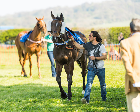 Race 6 - Restricted (24 of 75)