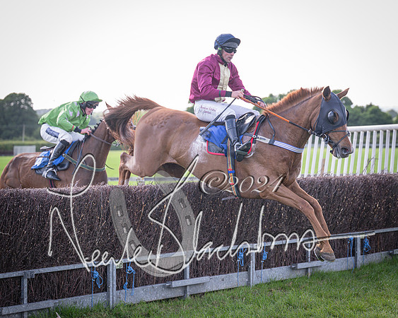 Race 6 - Thorn Plant Hire Maiden Race (105 of 129)