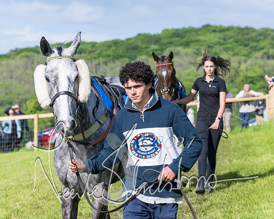 Race 6 - The Maiden  (40 of 448)