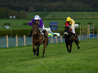 Pony Race 1 -  16