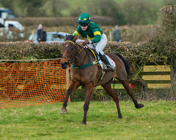 Pony Race 3 (54 of 67)