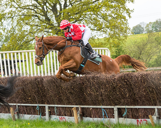 Race 6 - Restricted (131 of 173)