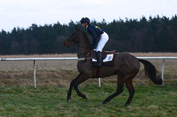 Novice Riders 21
