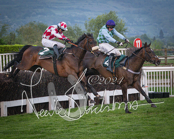 Race - 7 The Royal Gloucester Hussars Open Hunter's steeplechase 2m4f 127y (115 of 210)