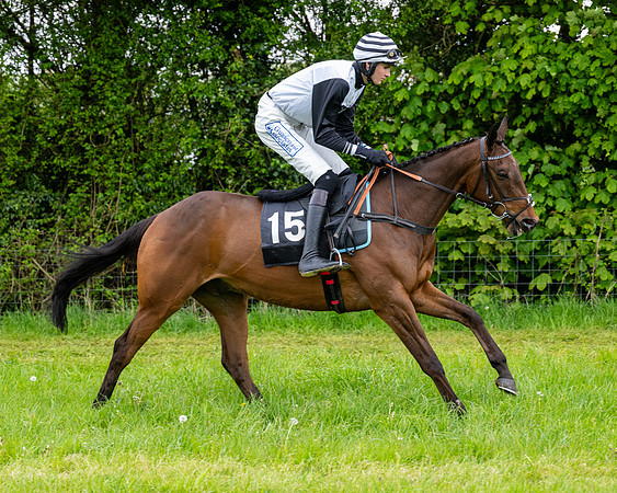 Race 3 - Young Horse Maiden (15 of 216)