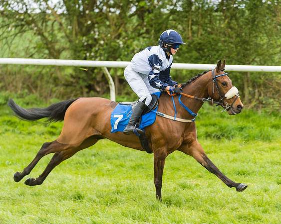 FBH Pony Races (2 of 78)