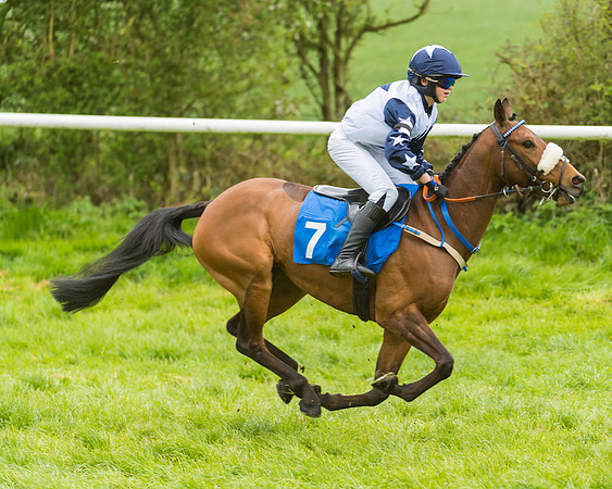 FBH Pony Races (4 of 78)
