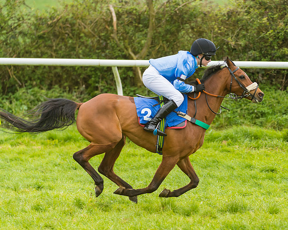 FBH Pony Races (9 of 78)