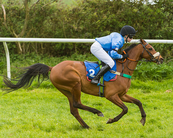FBH Pony Races (10 of 78)