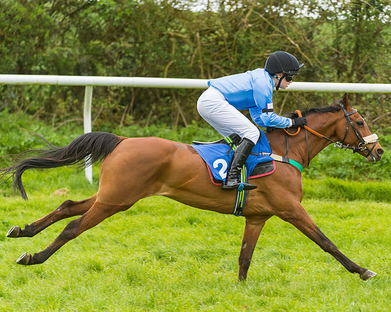 FBH Pony Races (12 of 78)