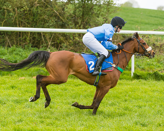FBH Pony Races (13 of 78)
