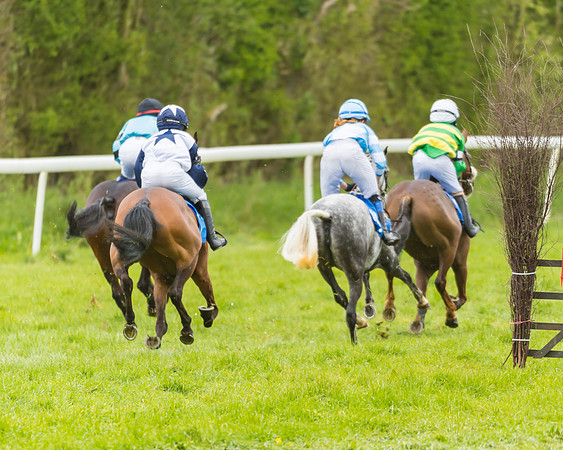 FBH Pony Races (14 of 78)