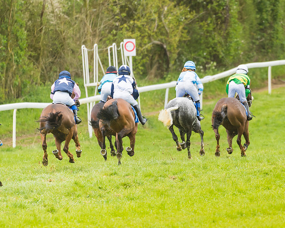 FBH Pony Races (17 of 78)
