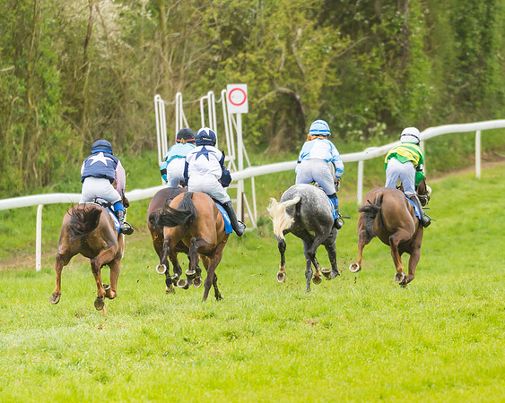 FBH Pony Races (16 of 78)