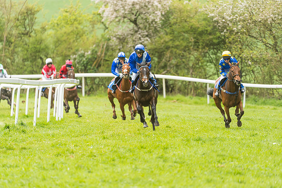 FBH Pony Races (36 of 78)