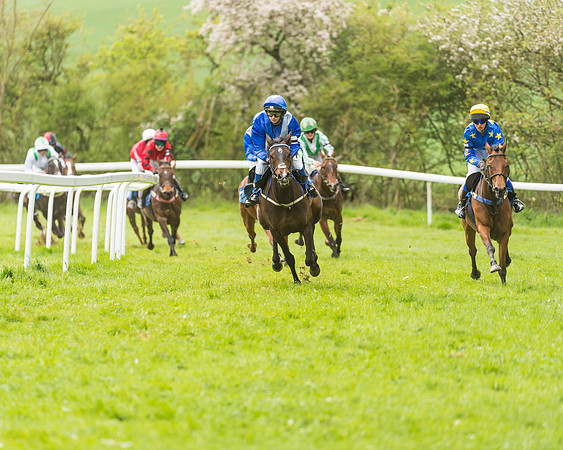 FBH Pony Races (39 of 78)