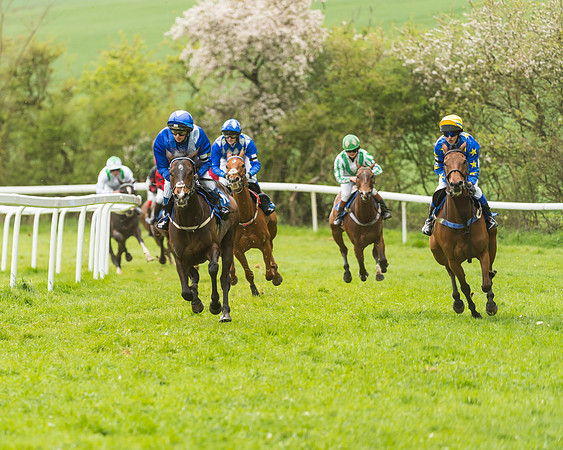 FBH Pony Races (41 of 78)