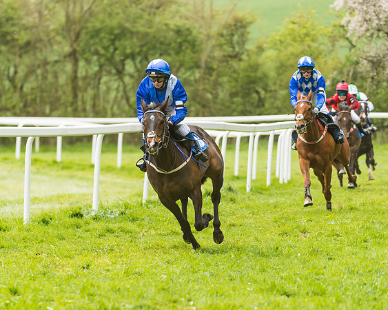 FBH Pony Races (45 of 78)
