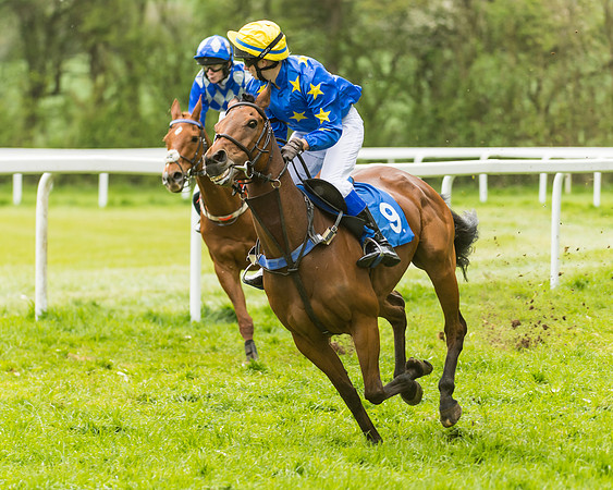 FBH Pony Races (53 of 78)