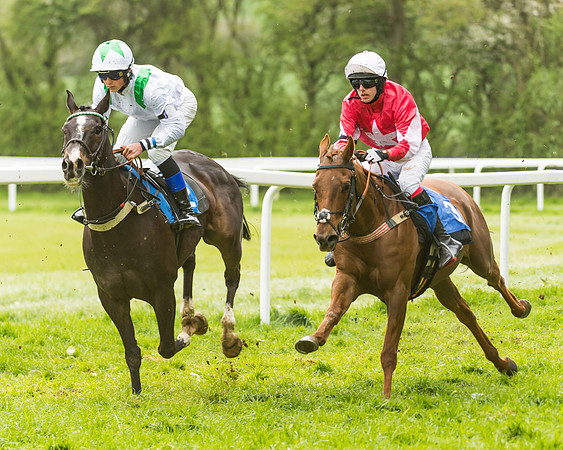 FBH Pony Races (62 of 78)