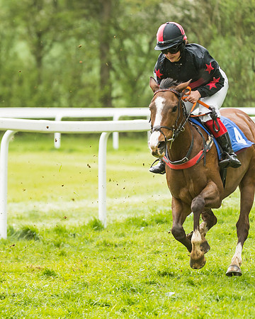 FBH Pony Races (65 of 78)